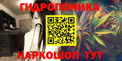 стафф Кимры