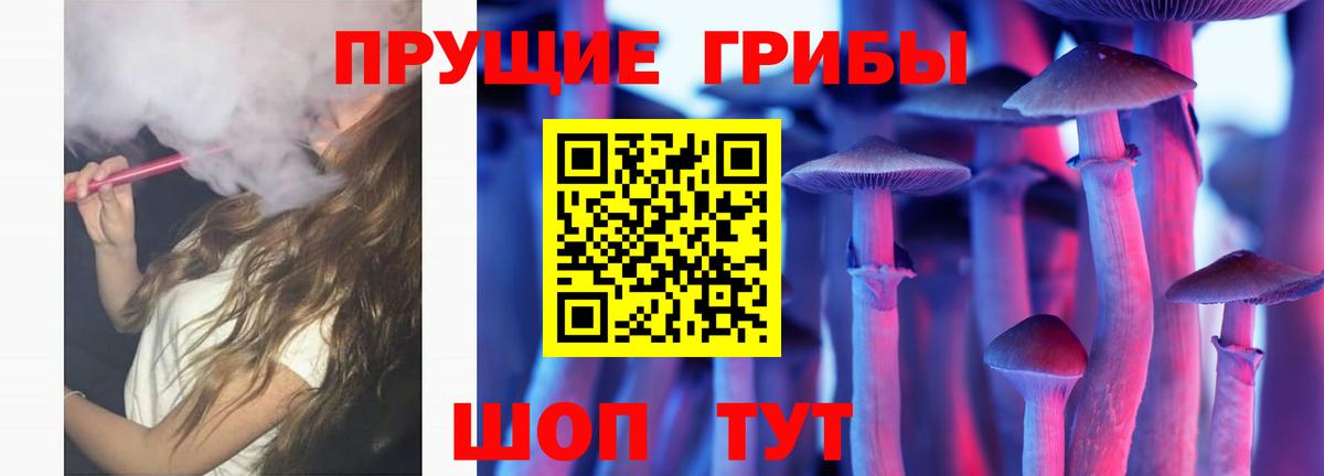 Галлюциногенные грибы Magic Shrooms Кувандык